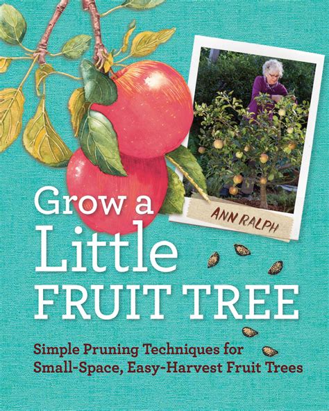 Grow A Little Fruit Tree Training And Pruning Fruit Trees Hgtv