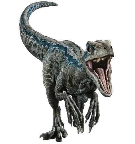 Jurassic World Velociraptor Blu Dinosauro 30 Ubicaciondepersonascdmxgobmx