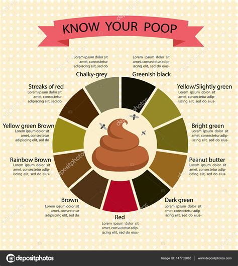 Why Is My Poop Green Stool Colors Explained Pin On Poop Poop Color
