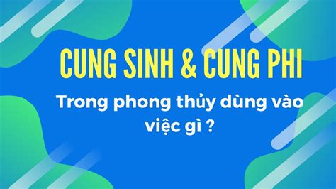 Cung Sinh Cung Phi DÙng VÀo ViỆc GÌ3 CÁch TÍnh Cung Phi Youtube
