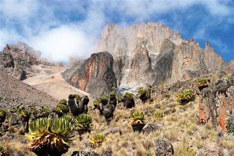 Mount Kenya National Park Av Tours Nl