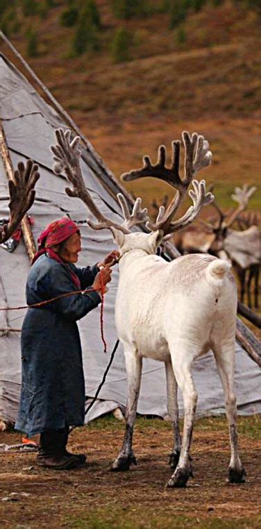 Reindeer Herders Mongolia Mongolia Reindeer Herders Human Photography