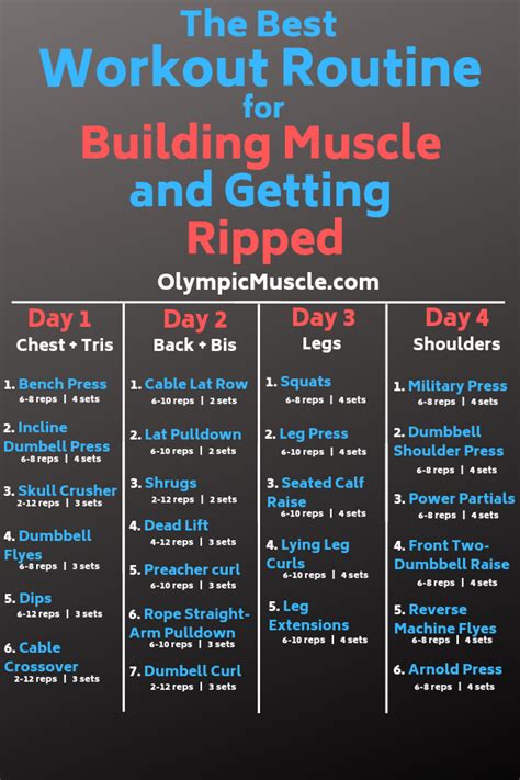Has been added to your cart. Best Workout Routine for Building muscle #weighttraining ...