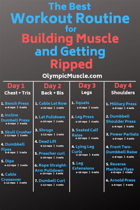 If your goal is geared specifically toward building muscle. Pin on Bodybuilding