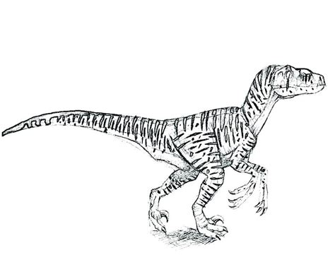 Папа роб и мир юрского периода: Jurassic World Raptor Coloring Pages at GetColorings.com ...