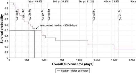 Kaplanmeier Plot Of Overall Survival Of All 28 Patients Note Median