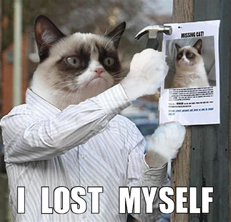 I Lost Myself Grumpy Cat Know Your Meme