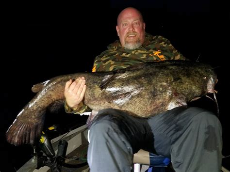 Wi And Mn State Record Flathead Whats Taking So Long Catfish