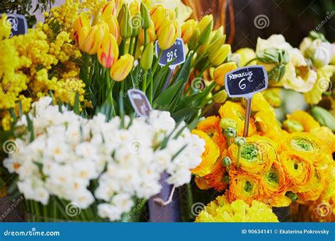 Outdoor Flower Market In Paris France Stock Image Image Of