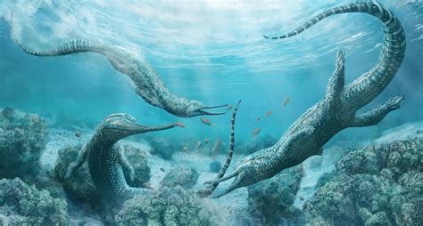 Crocodile Like Prehistoric Sea Monster Skeletons Found Syfy Wire