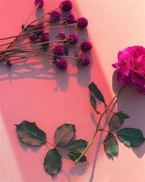 Pin By On Roses Pink Aesthetic Aesthetic Backgrounds Abstract