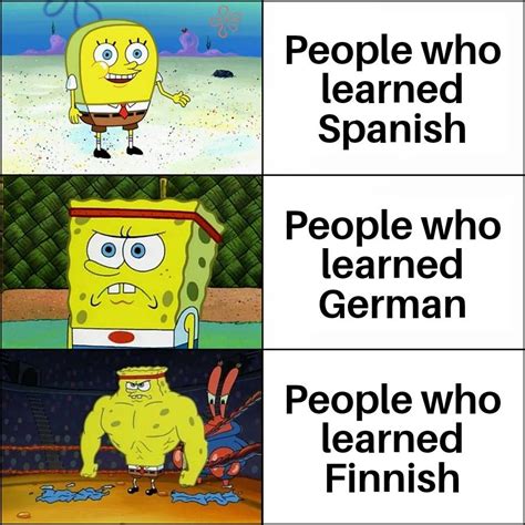 Learning Languages Rmemes