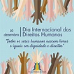Grupo Mulheres do Brasil celebra Dia Internacional dos Direitos Humanos ...