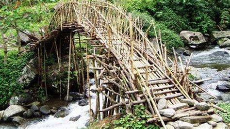 Awesome Bamboo Bridges Youtube