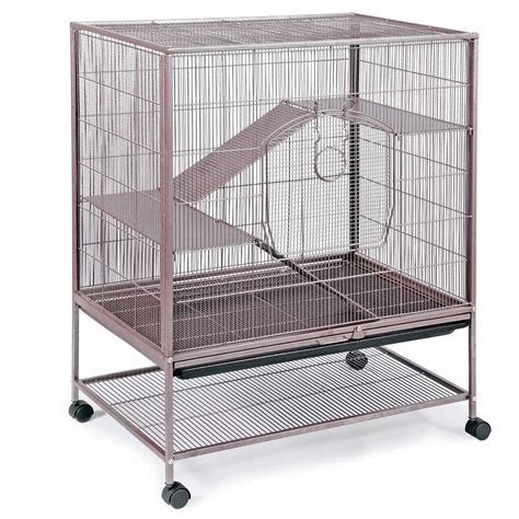 Prevue Pet Products Earthtone Dusted Rose Rat And Chinchilla Cage Petco