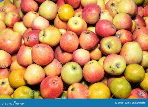 Yummy Pile Of Apples Stock Photo Image Of Bright Season 50161332