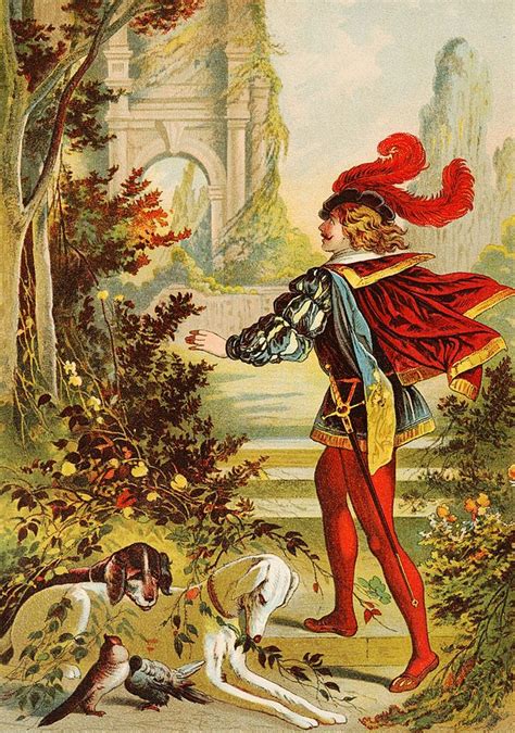 Categoryprince Charming Wikimedia Commons Fairytale Illustration