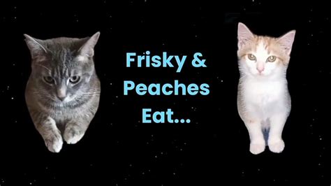 Frisky And Peaches Eat Youtube
