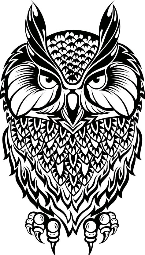 Owl Svg Birds Svg Owl Clip Art Cut Files Cricut Cricut Etsy