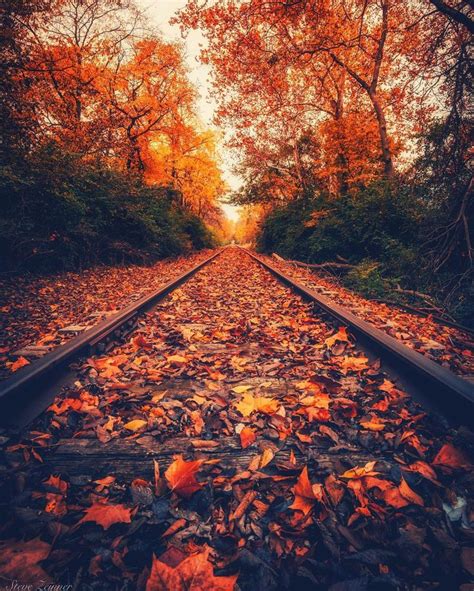 Best 25 Autumn Photography Ideas On Pinterest Autumn