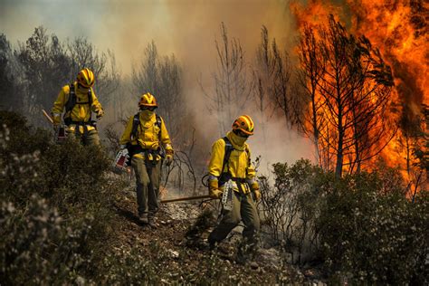Brigadas De Refuerzo De Incendios Forestales Del Ejército De Chile