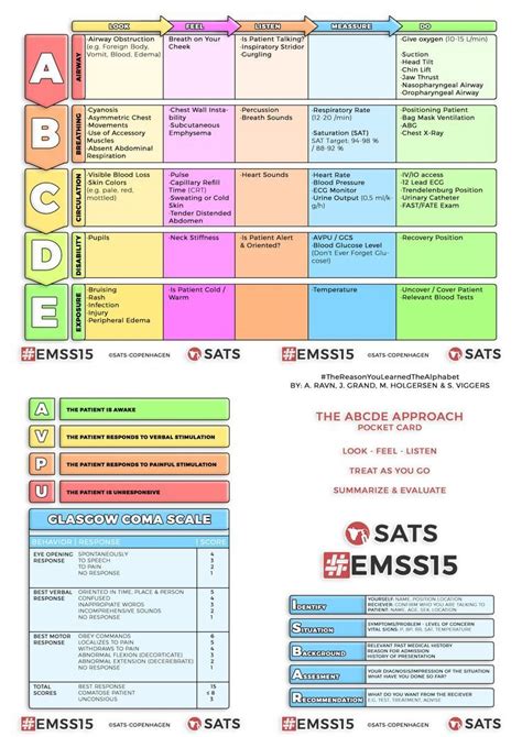 Abcde Chart Nursing Assessment Assessment For Learning Strategies
