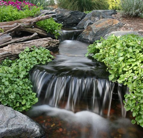 7 Tips To Keep Pond Water Clean Waterfalls Backyard Backyard Water