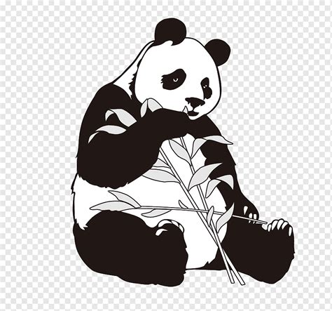 100+ Sketsa Gambar Panda yang Mudah Digambar