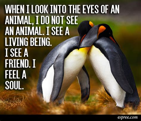 Pin By Espree Animal Products On Favorite Animal Quotes Animal Quotes