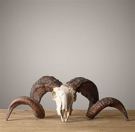 Ram Horns Cast In Resin In 2020 Ram Horns Horns Animal Skulls