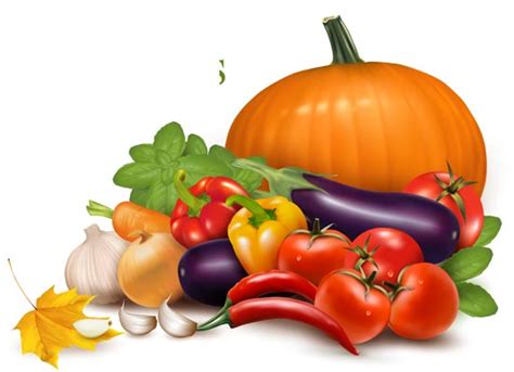 View Veggies Clipart Images Alade