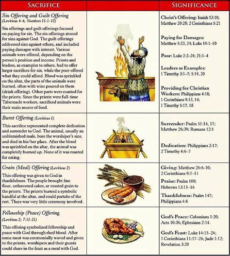 Offerings Leviticus 1 4 Different Types Of Offerings In Leviticus