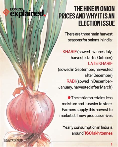 Quixplained Hike In Onion Prices And Why It Is Always An Election