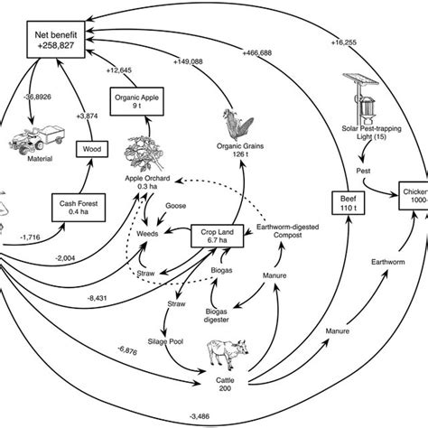 A Schematic Diagram Of Biodiversity Management Of Organic Farming