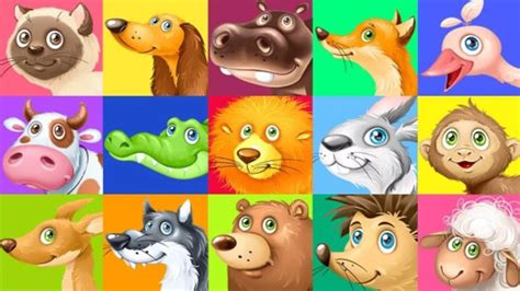 Animals For Children Learning Pets Video For Kids App For Kids