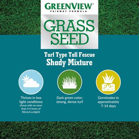 Greenview Fairway Formula Grass Seed Turf Type Tall Fescue Shady