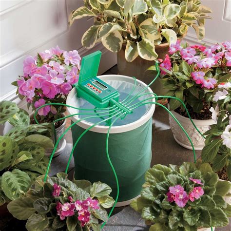 Improvements Automatic Plant Watering System With Coil Basket Plant