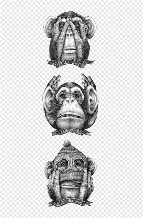 Three Wise Monkeys Illustration The Evil Monkey Drawing Monkey