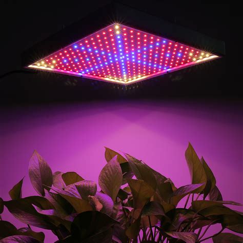 A wide variety of led grow light for plants options are available to you, such as lighting solutions service, warranty(year), and lifespan (hours). 30W Pflanzenlampe 290 LED Grow Light Pflanzenlicht für ...