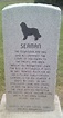 Meriwether Lewis's Dog Seaman (1803 - 1809) - Find A Grave Memorial