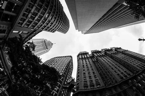 Hd Wallpaper Black And White Buildings City Looking Up Skyscrapers