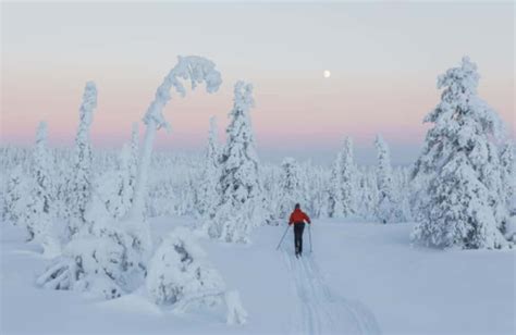 15 Photos That Prove Lapland Is The Most Magical Place To Spend