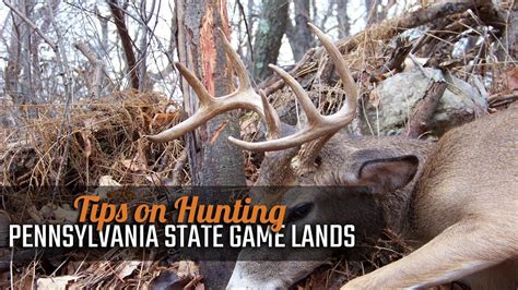 Tips On Hunting Pennsylvania State Game Lands Youtube