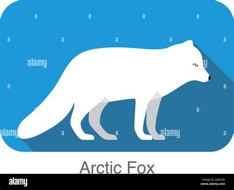 White Arctic Fox Standing Illustration Vector Stock Vector Image And Art