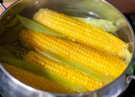 Boiled Corn On The Cob Saucepan With Boiling Water Close Up Stock