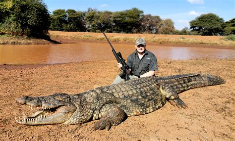 Crocodile Hunting With Bayly Sippel Safaris