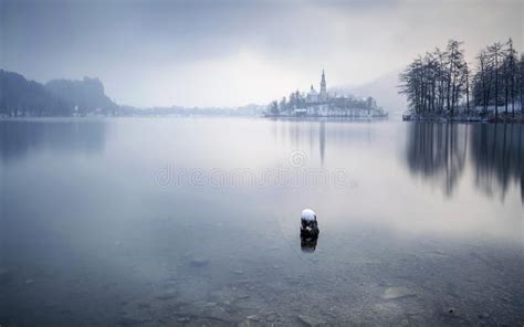 Winter Morning At Beautiful Bled Lake National Park Slovenia Stock