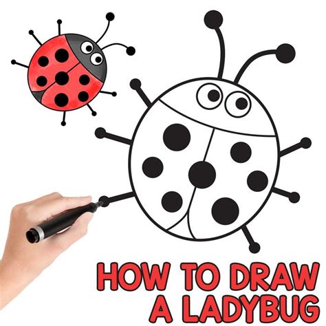 How To Draw A Ladybug Drawings Easy Drawings Drawing For Kids