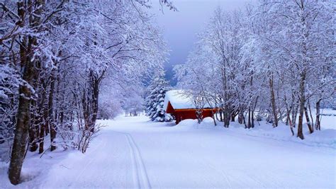 Winter Cabin In The Snow