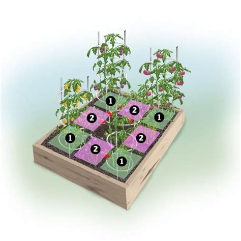 Heirloom Tomato 4 X 4 Foot Garden Bonnie Plants In 2020 Heirloom